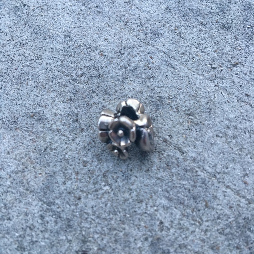 Sterling silver Forget-Me-Not Trollbead.